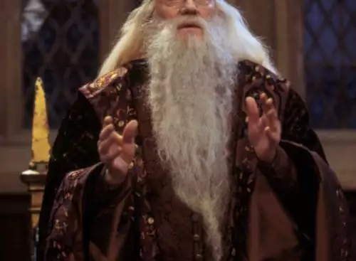 HarryPotterandThePhilosophersStone25thAnniversary_134309532595675671_big-cine_deskt.webp