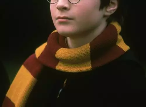 HarryPotterandThePhilosophersStone25thAnniversary_134309532586434657_big-cine_deskt.webp