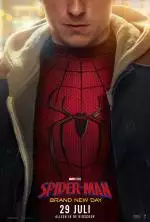 SpiderManBrandNewDay_134261935176397511_big-cine_deskt.webp