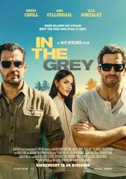 IntheGrey_134217670319356937_big-cine_deskt.webp